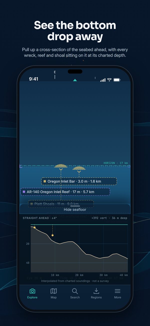 The seafloor cross-section, with the bottom dropping away and shoals and reefs placed at their depths.